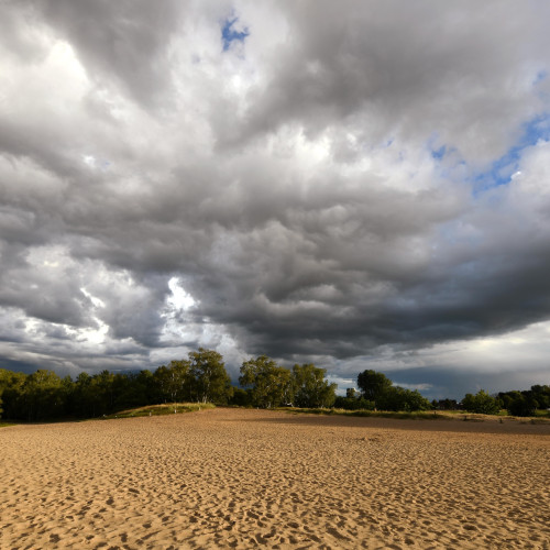 2022: In den Boberger Dünen, Bezirk Bergedorf. Foto: Michael Zapf