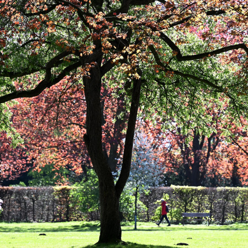 2024: Der Stadtpark im Frühling. Foto: Michael Zapf